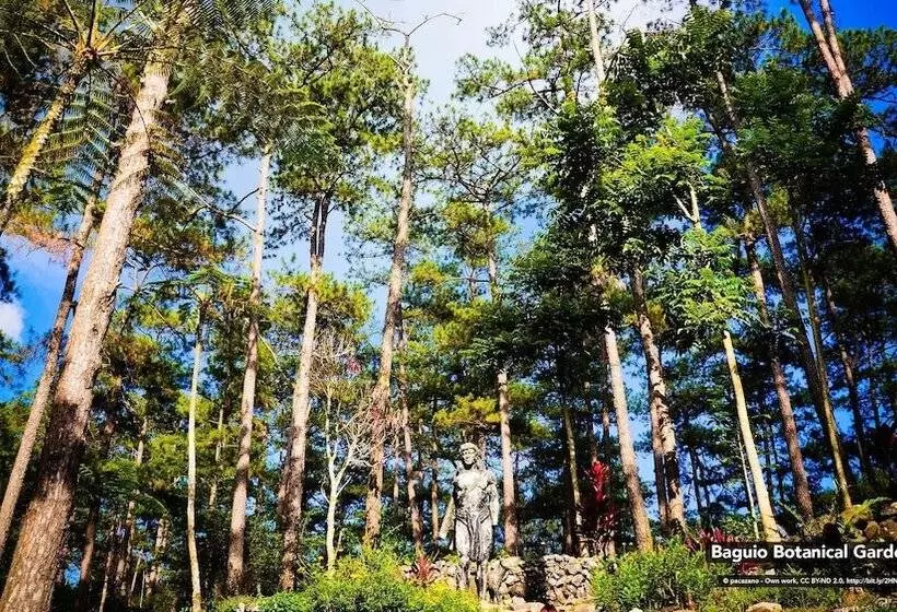 Hotelli The Podium Boutique