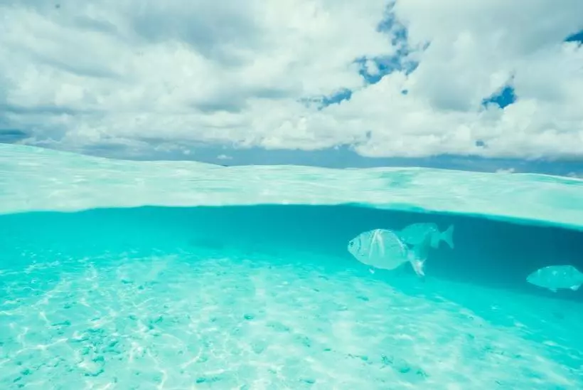 استراحتگاه Sorobon Boutique