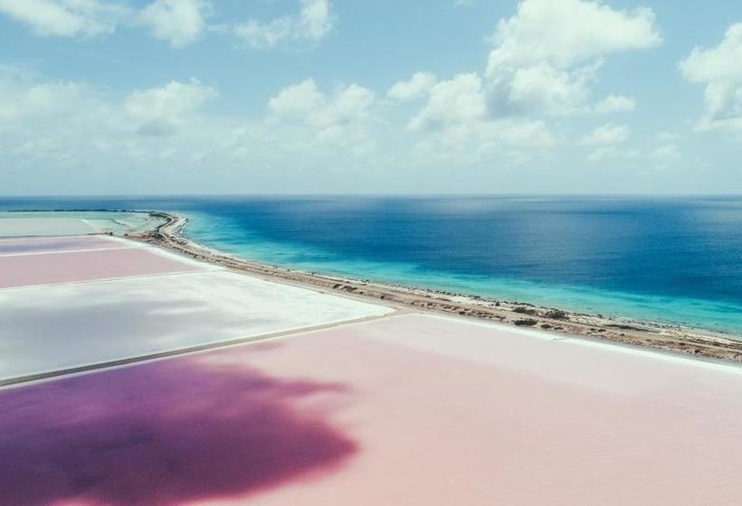 استراحتگاه Sorobon Boutique