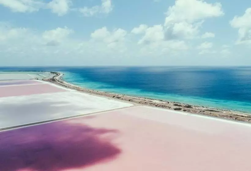 استراحتگاه Sorobon Boutique