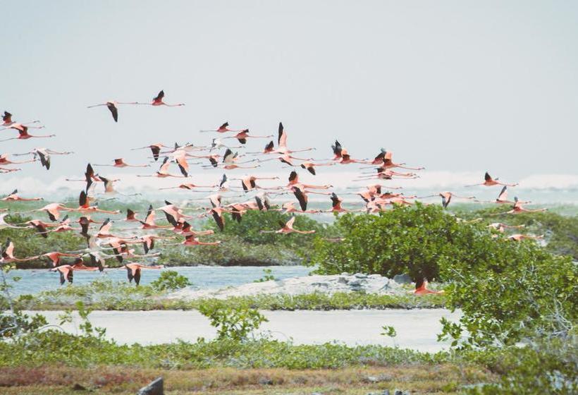 استراحتگاه Sorobon Boutique