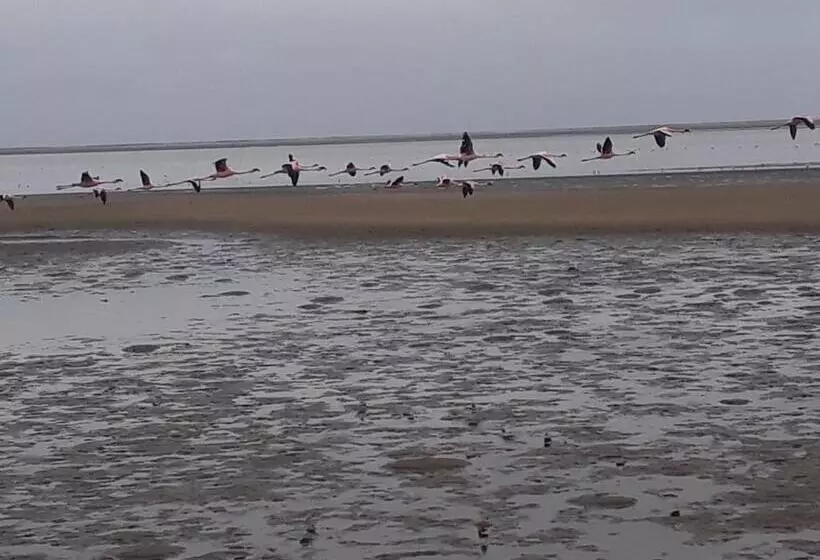 Elilo Bed And Breakfast