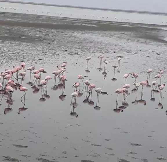 Elilo Bed And Breakfast