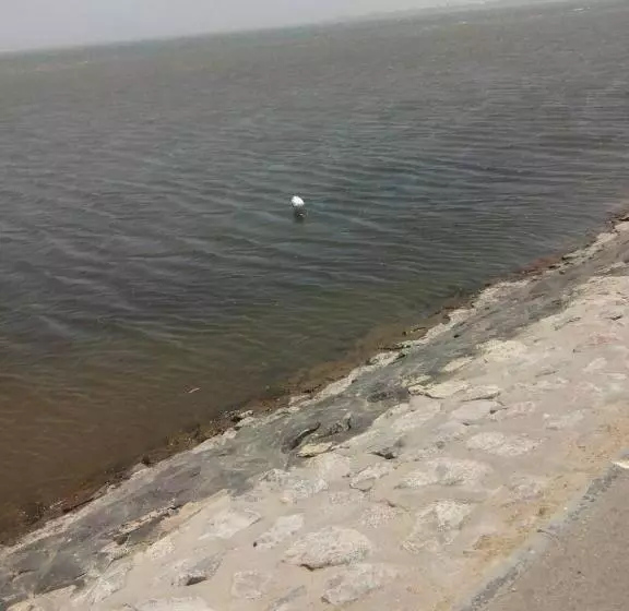 Elilo Bed And Breakfast