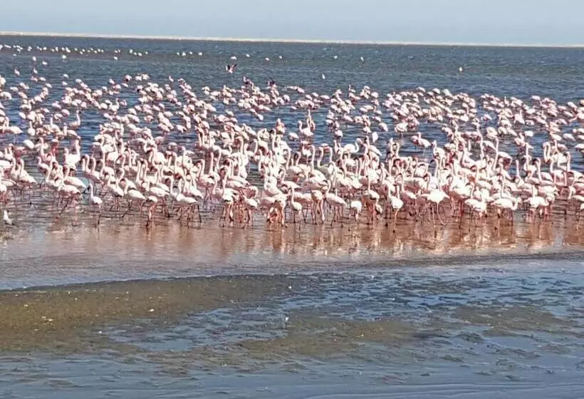 Elilo Bed And Breakfast