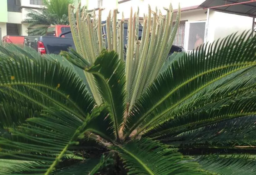 هتل Danel Pensionne House