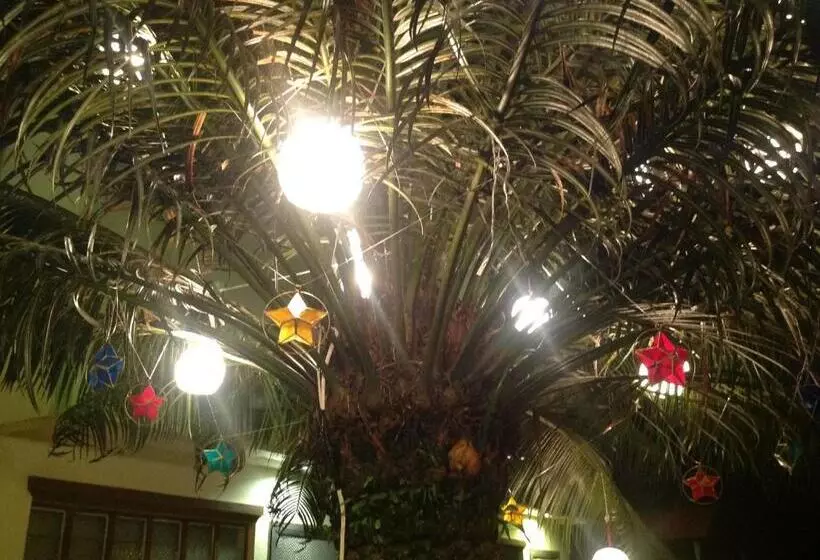 هتل Danel Pensionne House