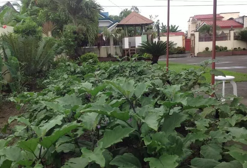 هتل Danel Pensionne House