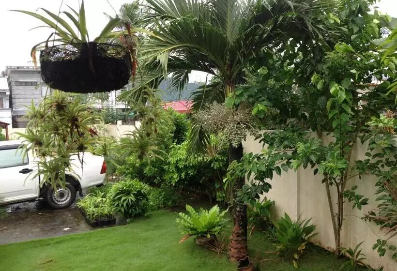 هتل Danel Pensionne House