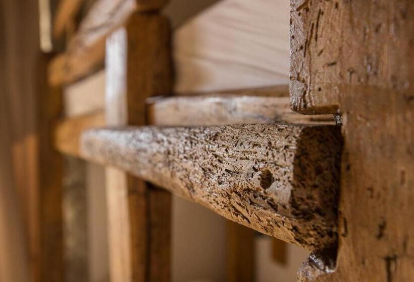 هاستل Central Bled House