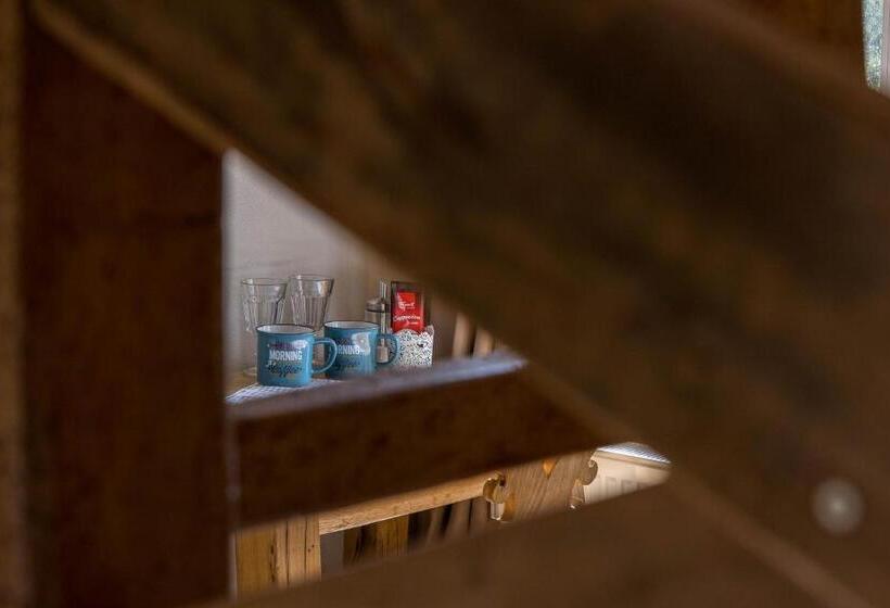 هاستل Central Bled House