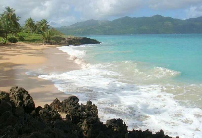 Hostel La Ballena Backpacker