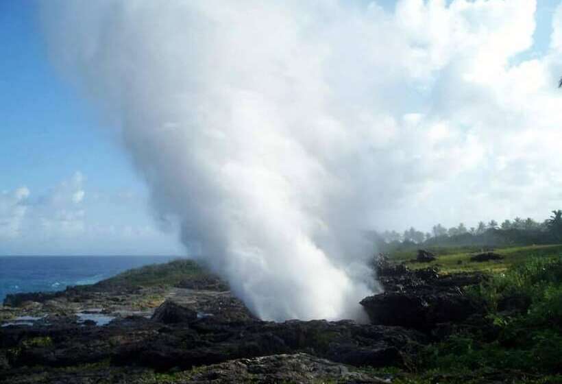 Hostel La Ballena Backpacker