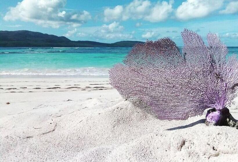 Hostel La Ballena Backpacker