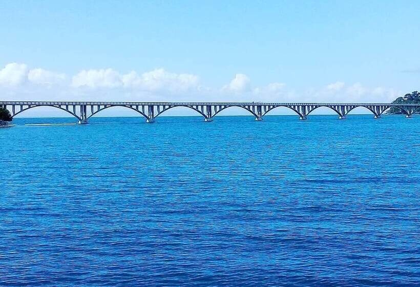 Hostel La Ballena Backpacker