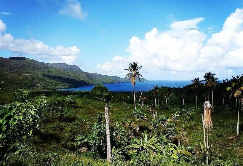 Hostel La Ballena Backpacker