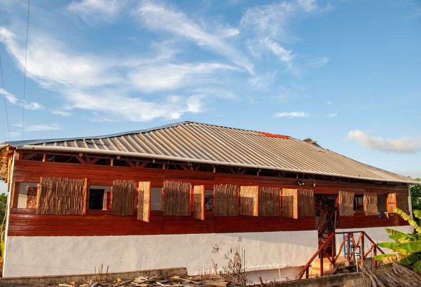 Hostel La Ballena Backpacker