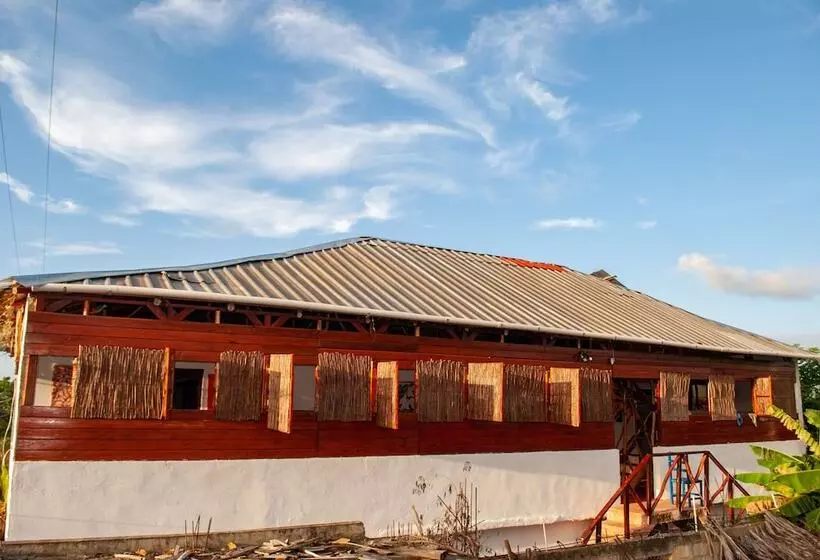 Hostel La Ballena Backpacker