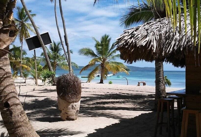 Hostel La Ballena Backpacker