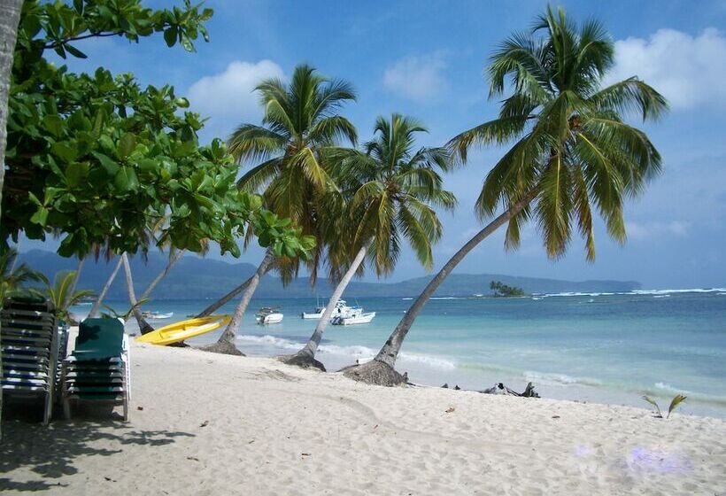 Hostel La Ballena Backpacker