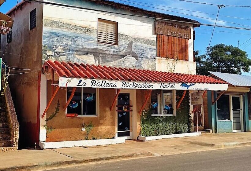 Hostel La Ballena Backpacker