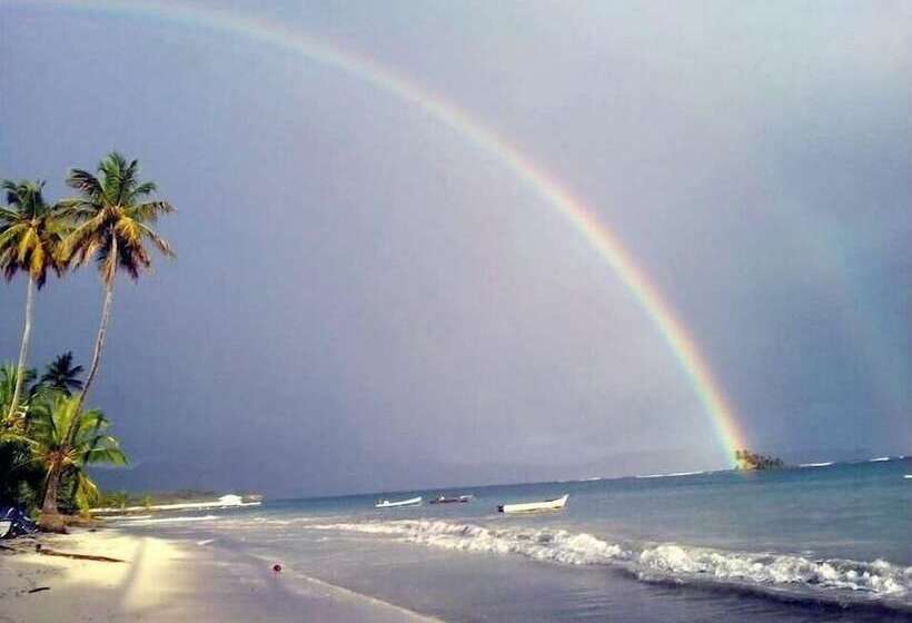 Hostel La Ballena Backpacker