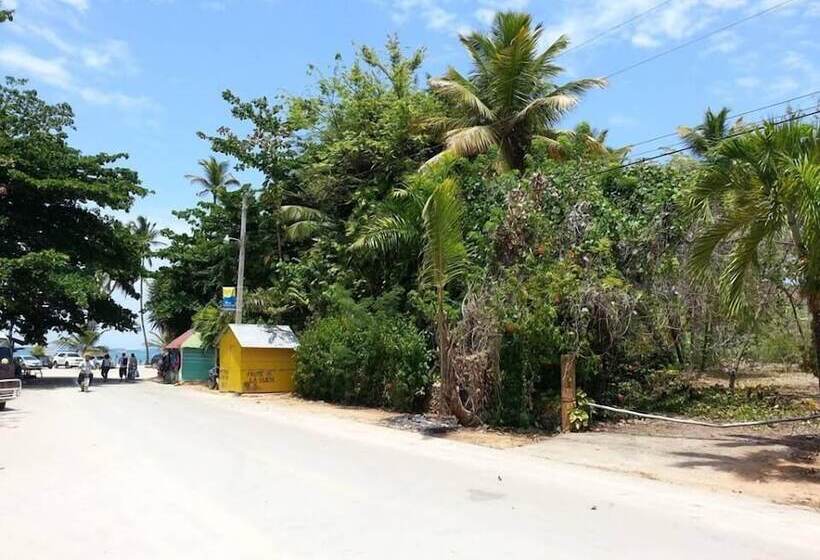 Hostel La Ballena Backpacker