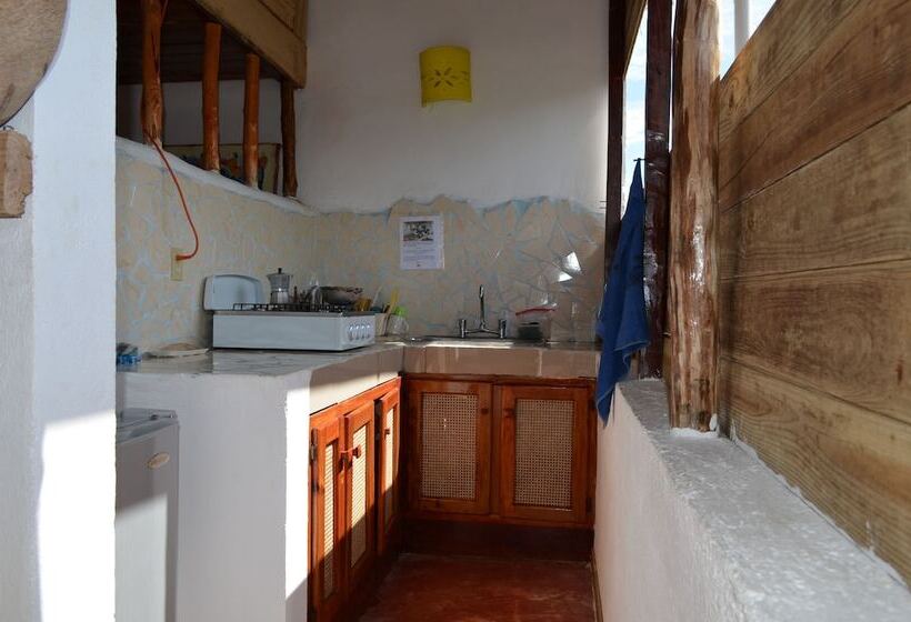 Hostel La Ballena Backpacker