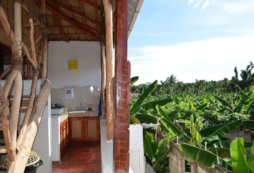 Hostel La Ballena Backpacker