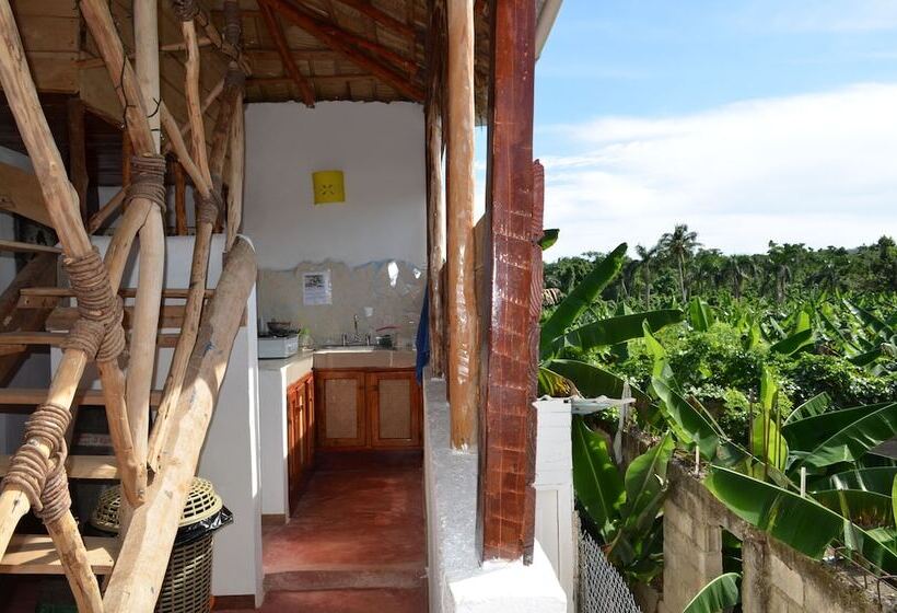 Hostel La Ballena Backpacker