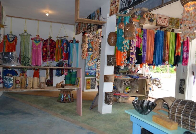 Hostel La Ballena Backpacker