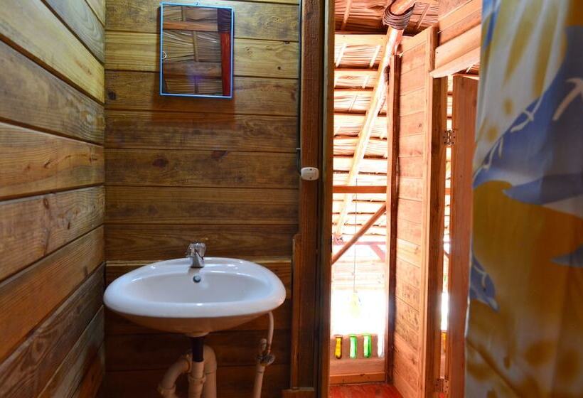 Hostel La Ballena Backpacker