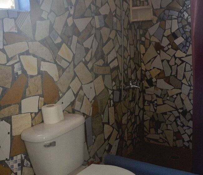 Hostel La Ballena Backpacker