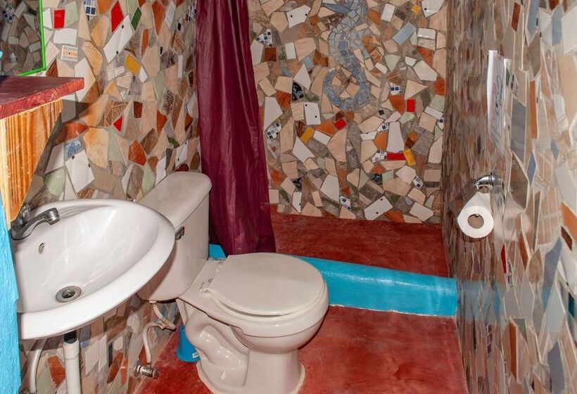 Hostel La Ballena Backpacker