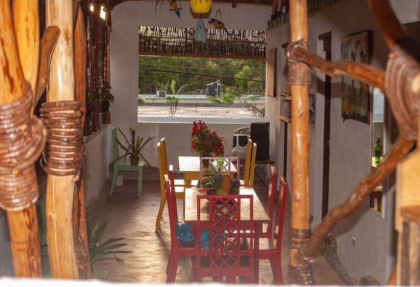 Hostel La Ballena Backpacker