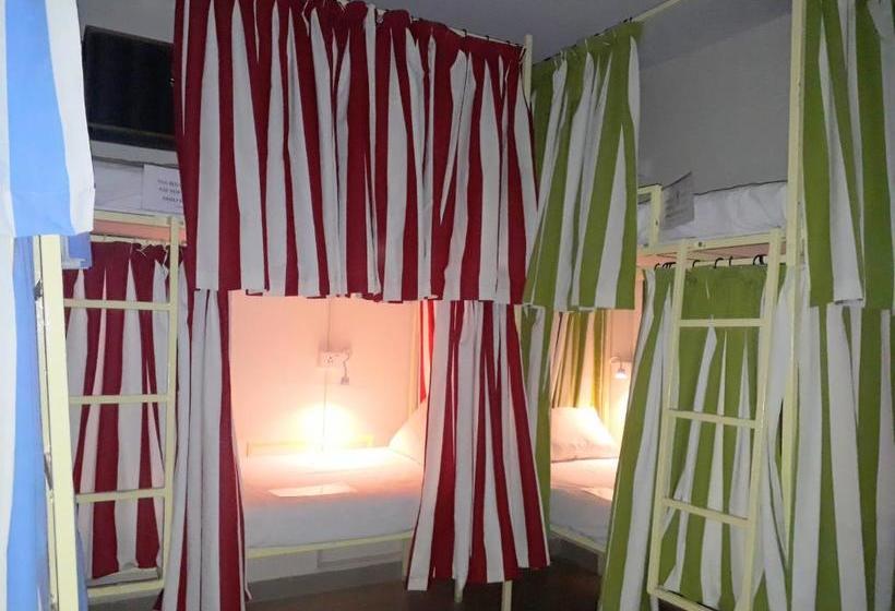 Rainbow Lining Hostels