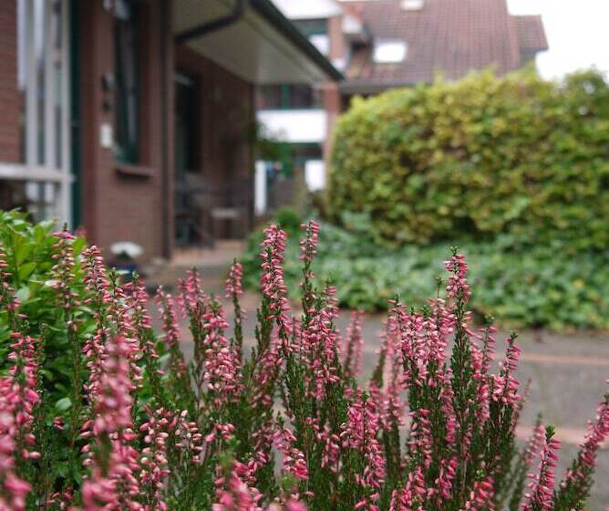 ホテル Dat Greune Eck