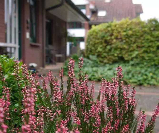 Hotelli Dat Greune Eck