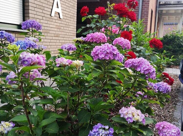 ホテル Dat Greune Eck