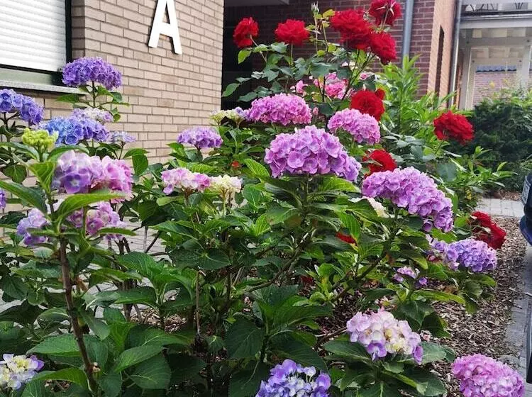 Hotelli Dat Greune Eck