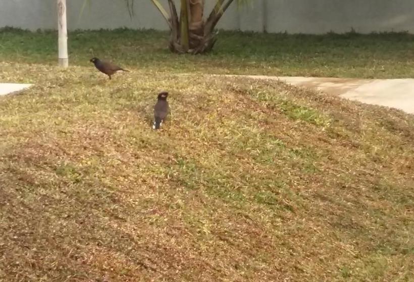 فندق Sea Lagoon Beach