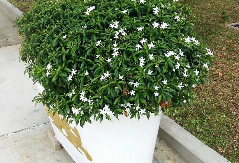 فندق Sea Lagoon Beach