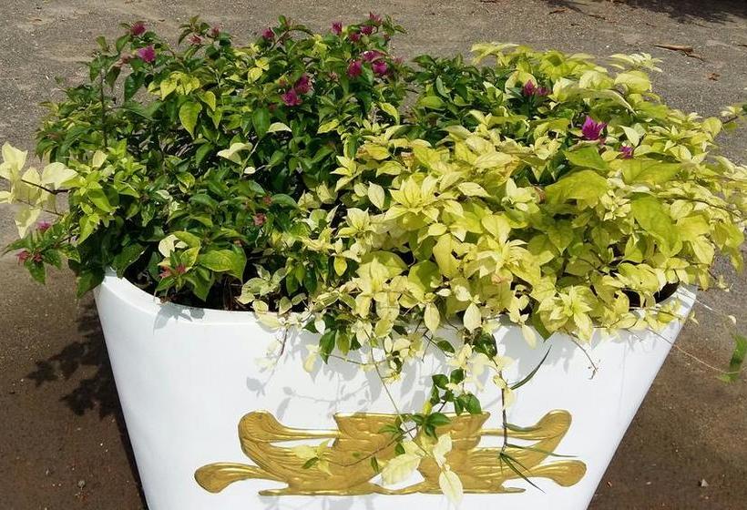 فندق Sea Lagoon Beach