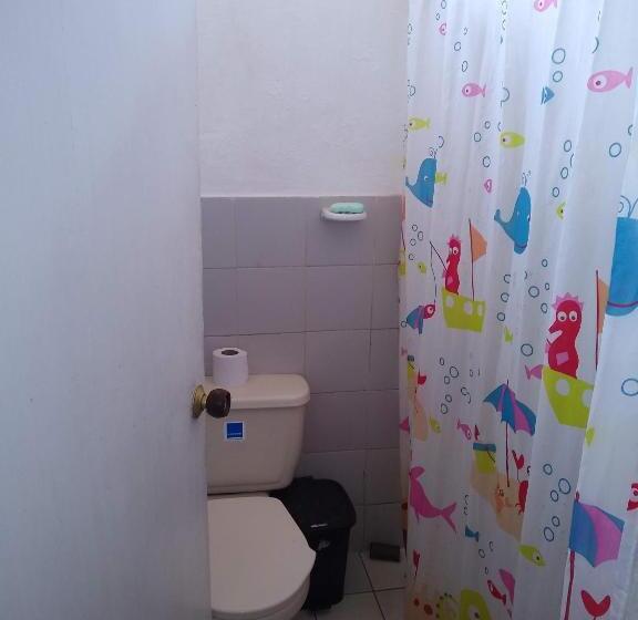 La Jangada Hostel & Tours