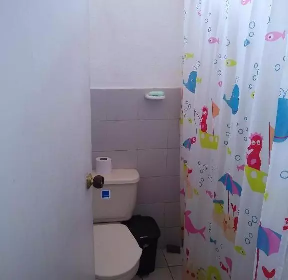 La Jangada Hostel & Tours