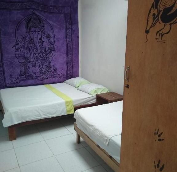 La Jangada Hostel & Tours