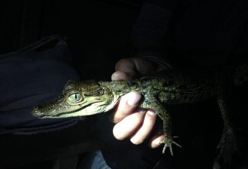 La Jangada Hostel & Tours