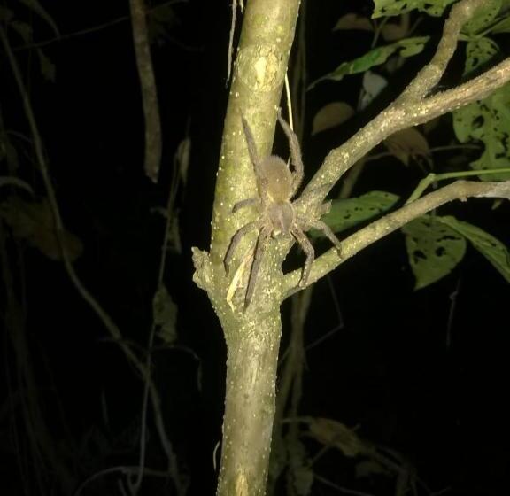 La Jangada Hostel & Tours