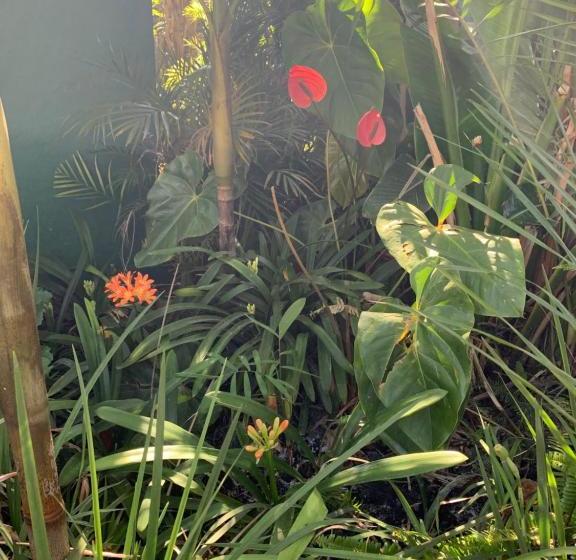 צימר Villa Grande Lodge