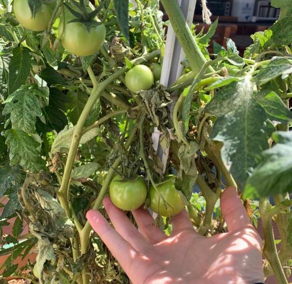 צימר Villa Grande Lodge